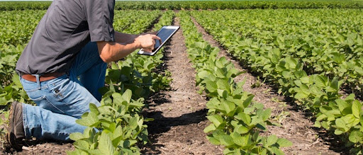 Agriculture trends: How is technology helping to improve the yield