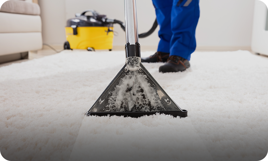 Carpet Cleaning Company Secrets To Get A Deal And Save Money