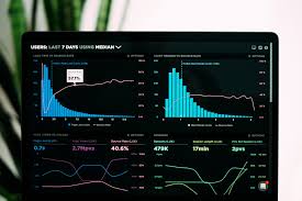 Understanding Website Traffic and Audience Behavior